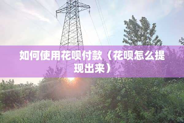 如何使用花呗付款（花呗怎么提现出来）