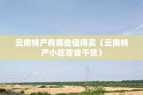 云南特产有哪些值得买（云南特产小吃零食干货）