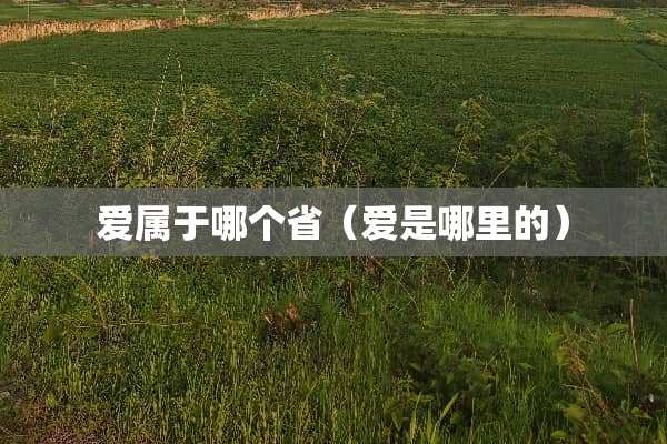 爱属于哪个省（爱是哪里的）