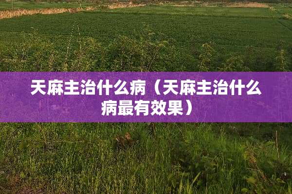 天麻主治什么病（天麻主治什么病最有效果）