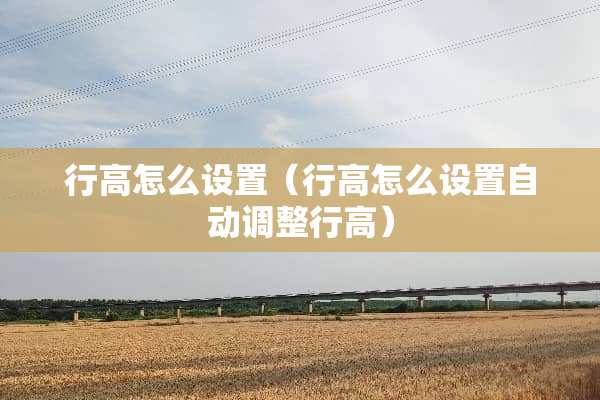 行高怎么设置（行高怎么设置自动调整行高）