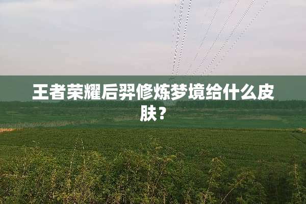 王者荣耀后羿**梦境给什么皮肤？