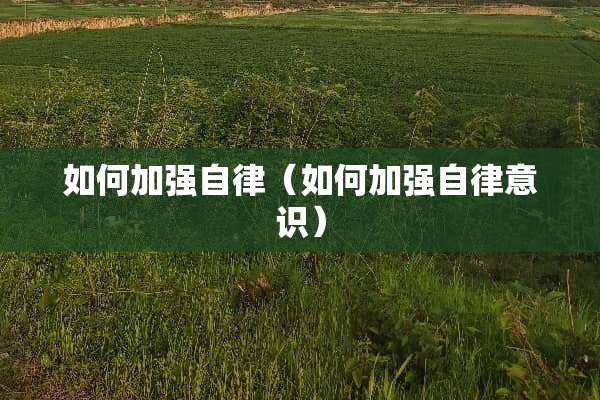 如何加强自律（如何加强自律意识）