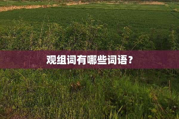 观组词有哪些词语？
