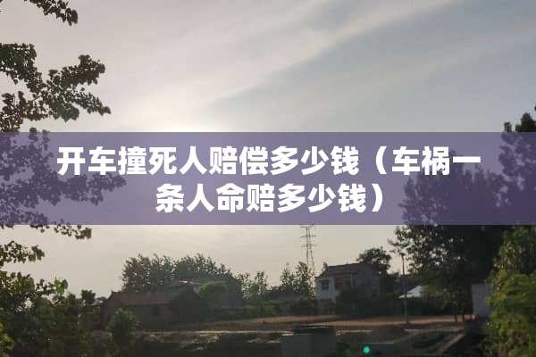 开车撞死人赔偿多少钱（车祸一条人命赔多少钱）