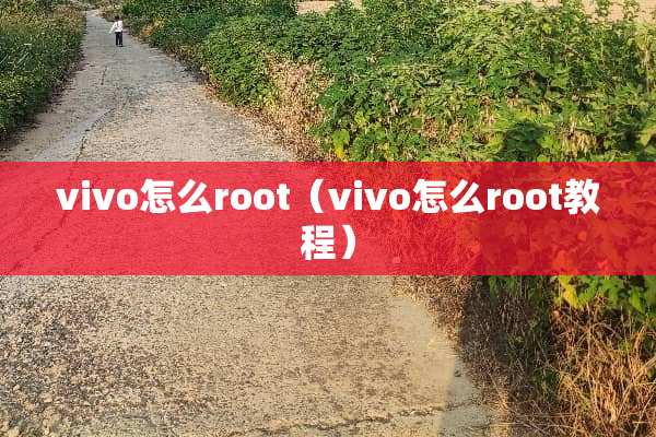 vivo怎么root（vivo怎么root教程）