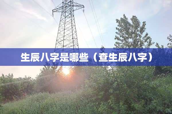 生辰八字是哪些（查生辰八字）