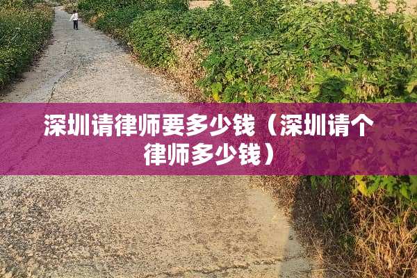 深圳请律师要多少钱（深圳请个律师多少钱）