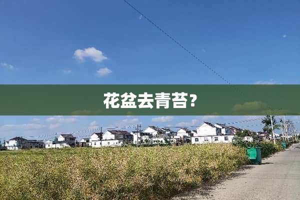 花盆去青苔？