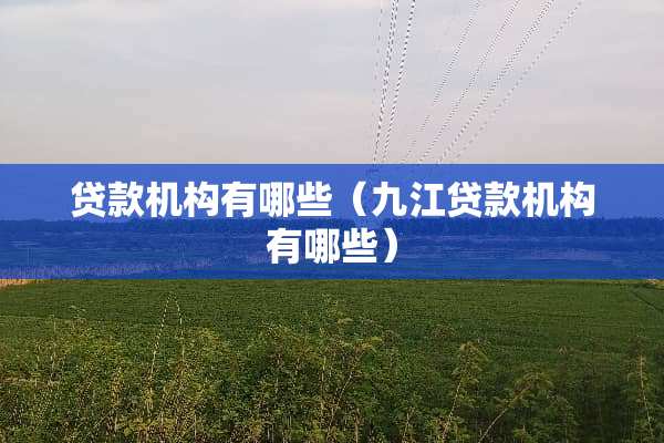 贷款机构有哪些（九江贷款机构有哪些）