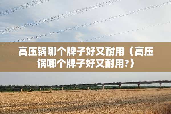 高压锅哪个牌子好又耐用（高压锅哪个牌子好又耐用?）