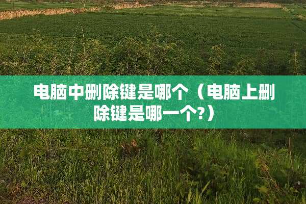 电脑中删除键是哪个（电脑上删除键是哪一个?）