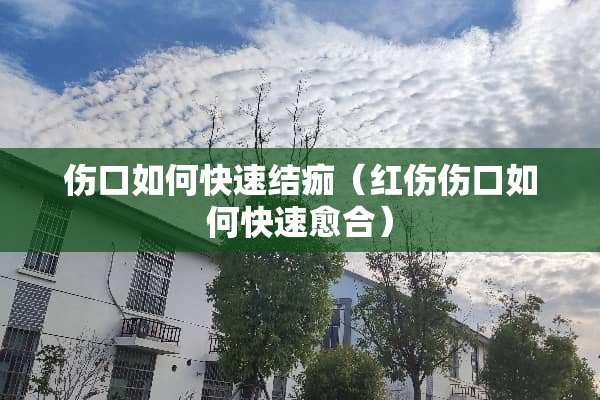 伤口如何快速结痂（红伤伤口如何快速愈合）