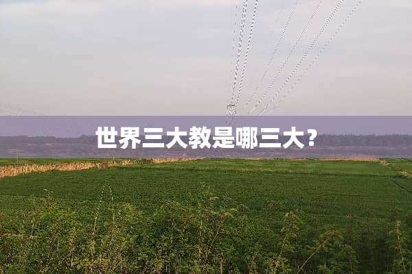 世界三大教是哪三大？