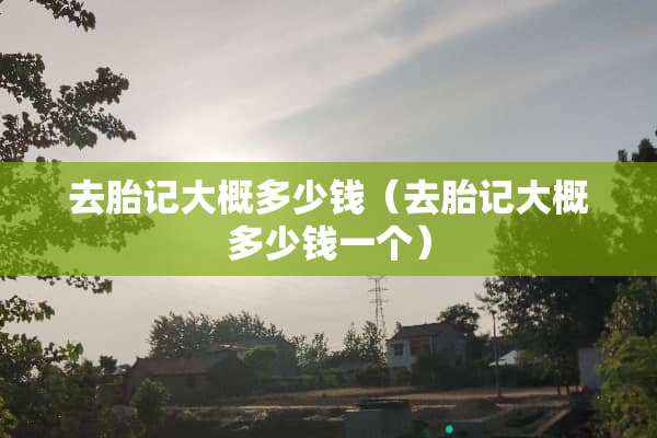 去胎记大概多少钱（去胎记大概多少钱一个）