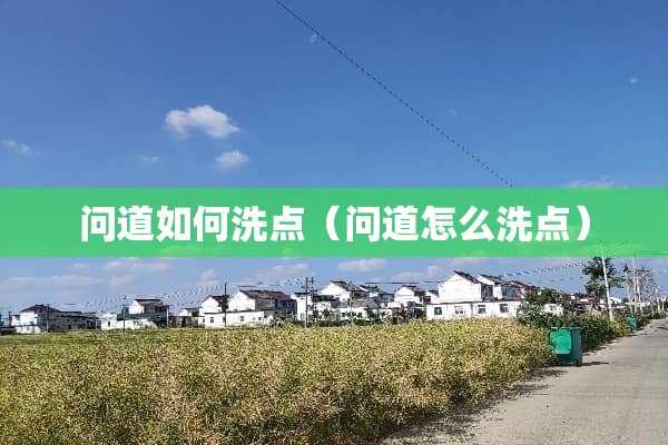 问道如何洗点（问道怎么洗点）