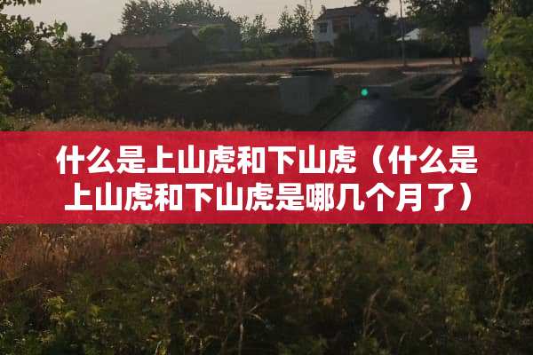 什么是上山虎和下山虎（什么是上山虎和下山虎是哪几个月了）