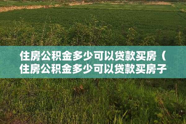 住房公积金多少可以贷款买房（住房公积金多少可以贷款买房子）