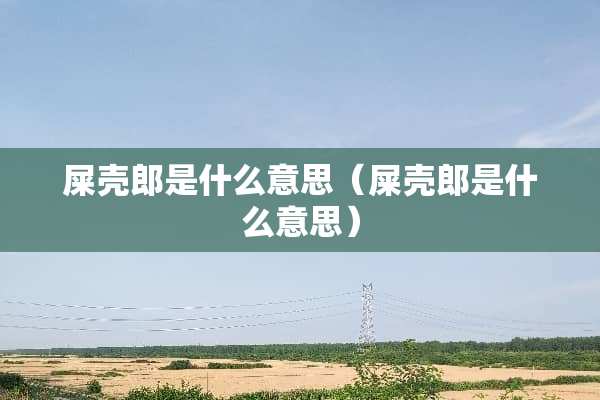 屎壳郎是什么意思（屎壳郎是什么意思）