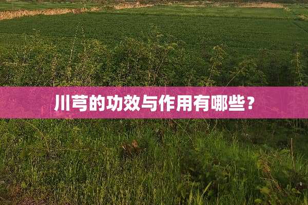 川芎的功效与作用有哪些？