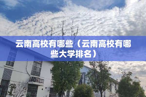 云南高校有哪些（云南高校有哪些大学排名）