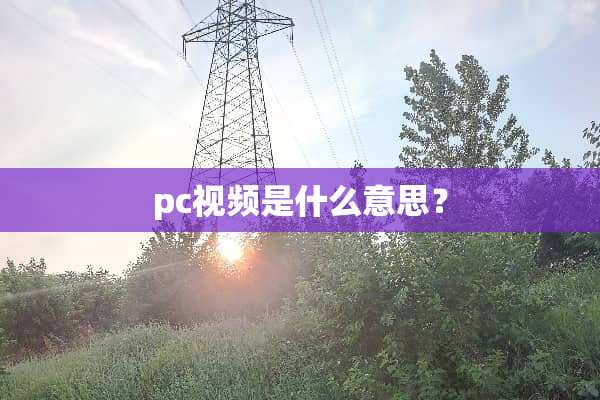 pc视频是什么意思？