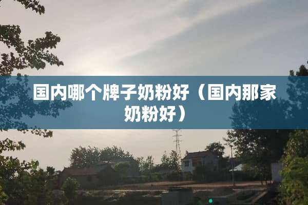国内哪个牌子奶粉好（国内那家奶粉好）