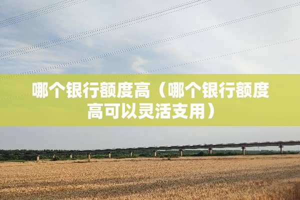 哪个银行额度高（哪个银行额度高可以灵活支用）