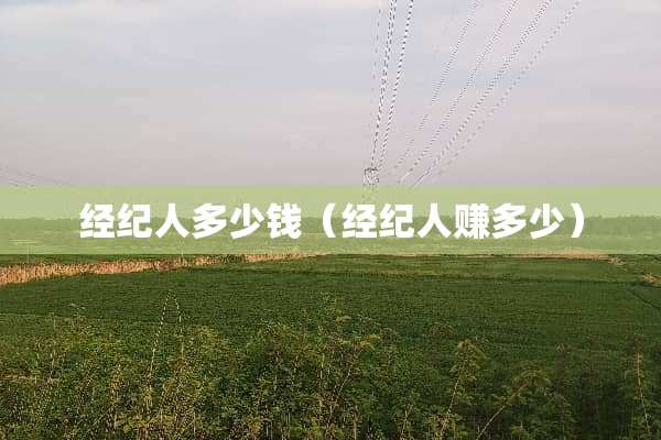 经纪人多少钱（经纪人赚多少）