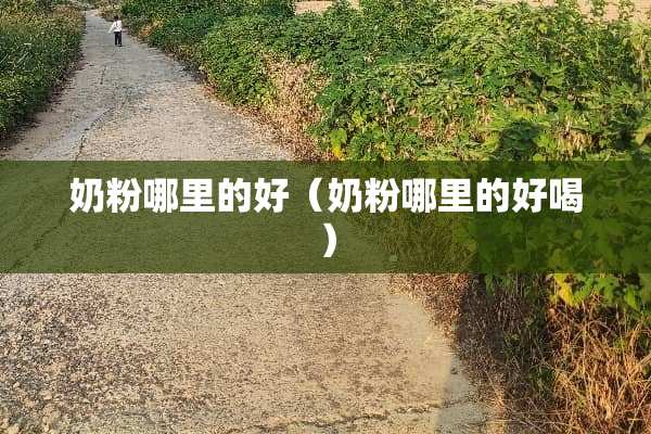 奶粉哪里的好（奶粉哪里的好喝）