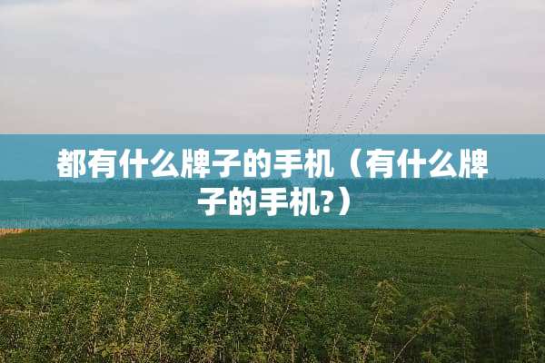 都有什么牌子的手机（有什么牌子的手机?）