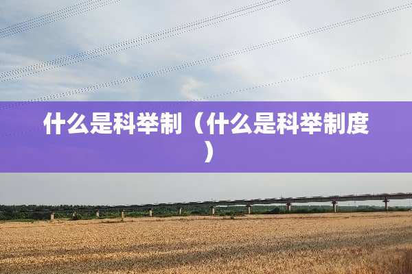 什么是科举制（什么是科举制度）