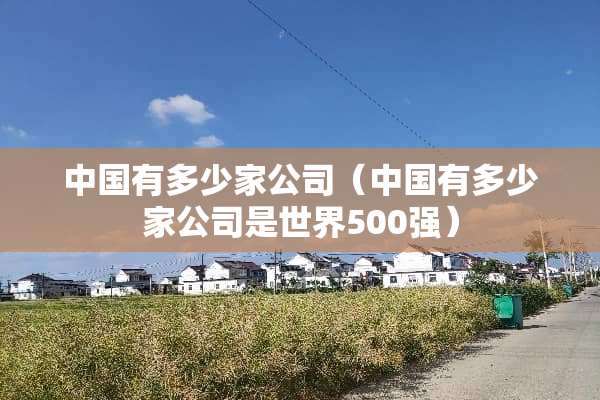 中国有多少家公司（中国有多少家公司是世界500强）