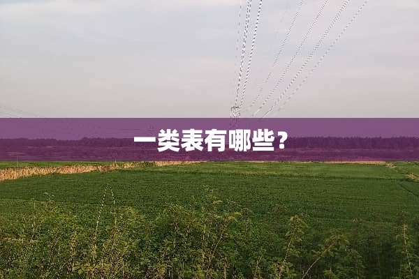 一类表有哪些？