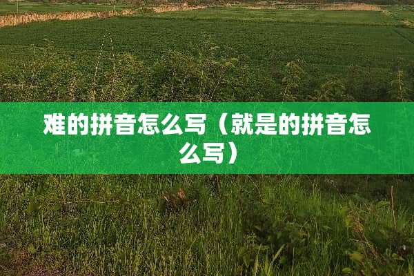 难的拼音怎么写（就是的拼音怎么写）