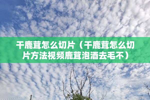 干鹿茸怎么切片（干鹿茸怎么切片方法视频鹿茸泡酒去毛不）