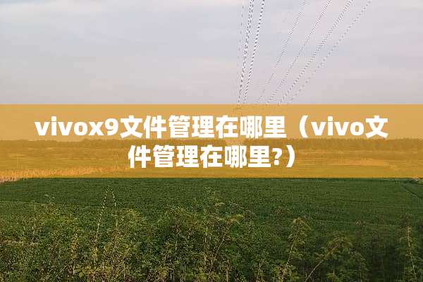 vivox9文件管理在哪里（vivo文件管理在哪里?）