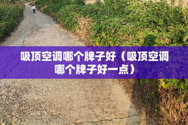 吸顶空调哪个牌子好（吸顶空调哪个牌子好一点）