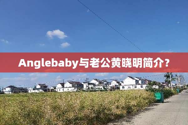 Anglebaby与老公黄晓明简介？