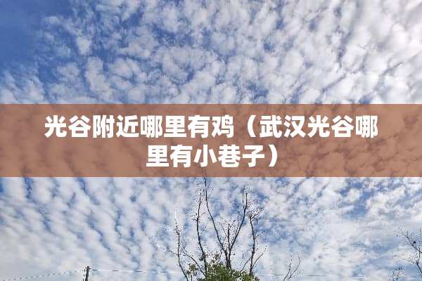 光谷附近哪里有鸡（武汉光谷哪里有小巷子）