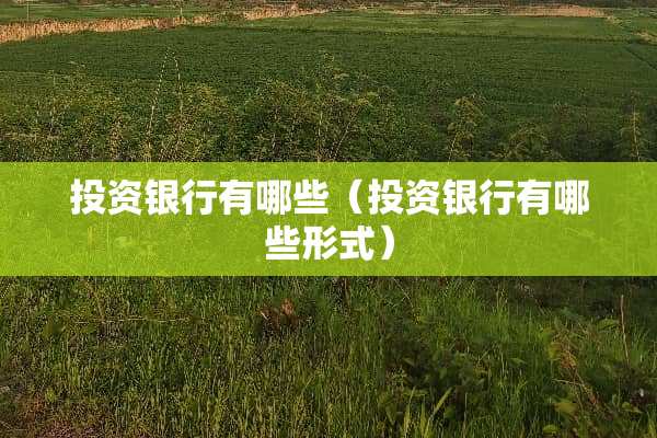 投资银行有哪些（投资银行有哪些形式）