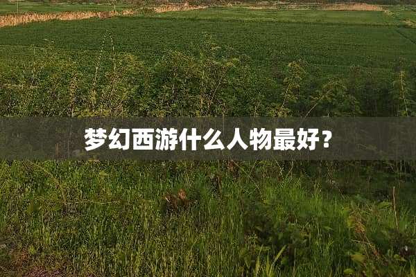 梦幻西游什么人物最好？