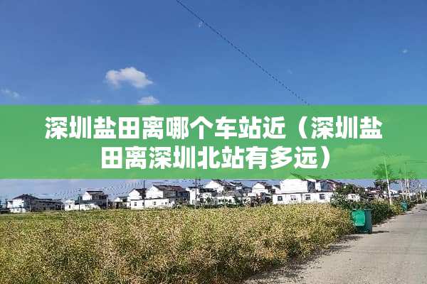 深圳盐田离哪个车站近（深圳盐田离深圳北站有多远）