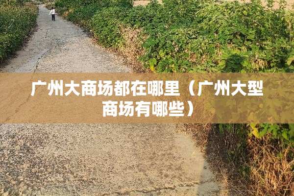 广州大商场都在哪里（广州大型商场有哪些）