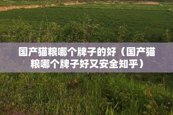 国产猫粮哪个牌子的好（国产猫粮哪个牌子好又安全知乎）