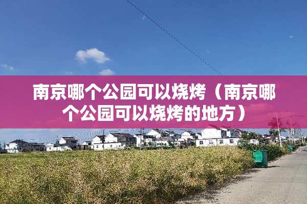 南京哪个公园可以烧烤（南京哪个公园可以烧烤的地方）
