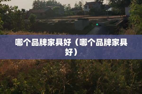 哪个品牌家具好（哪个品牌家具好）