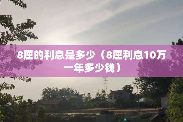 8厘的利息是多少（8厘利息10万一年多少钱）