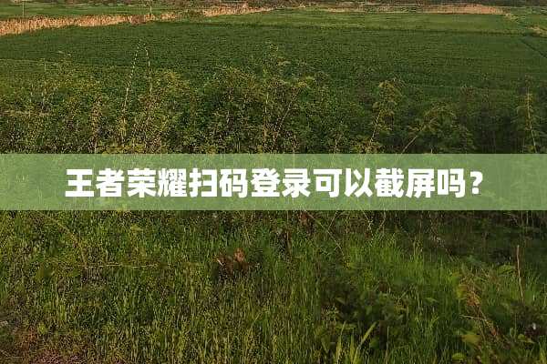 王者荣耀扫码登录可以截屏吗？