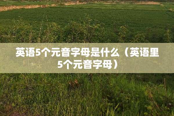 英语5个元音字母是什么（英语里5个元音字母）